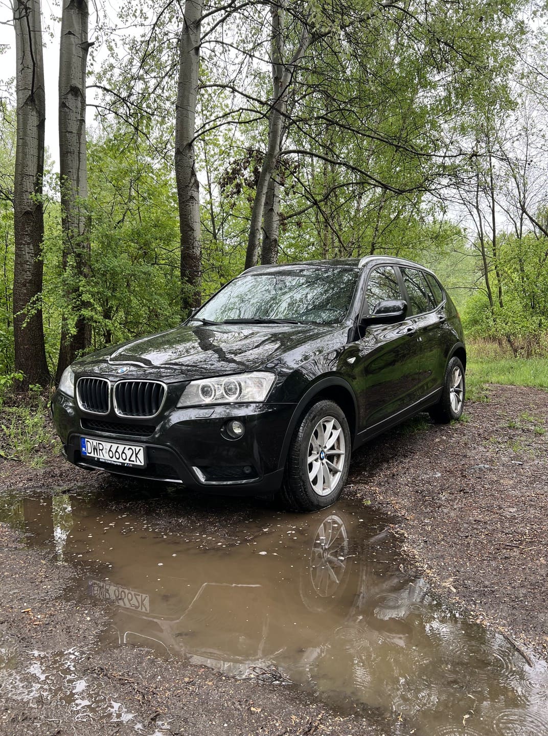 Pan Reflektor - Korekta Lakieru