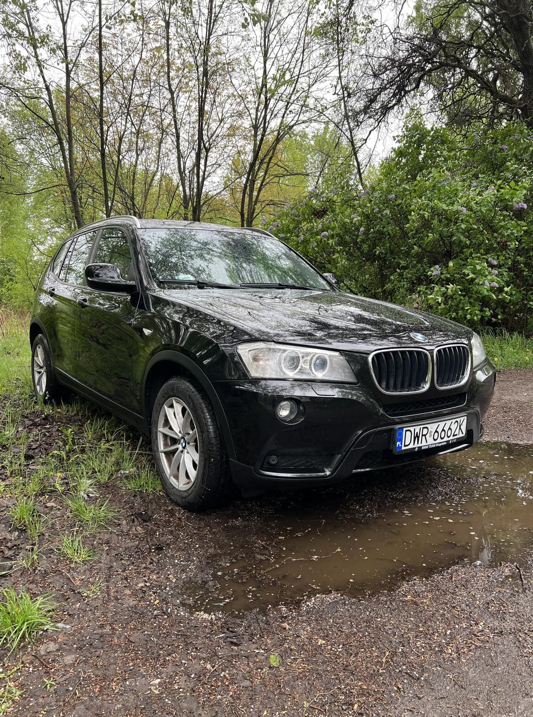 Pan Reflektor - Korekta Lakieru